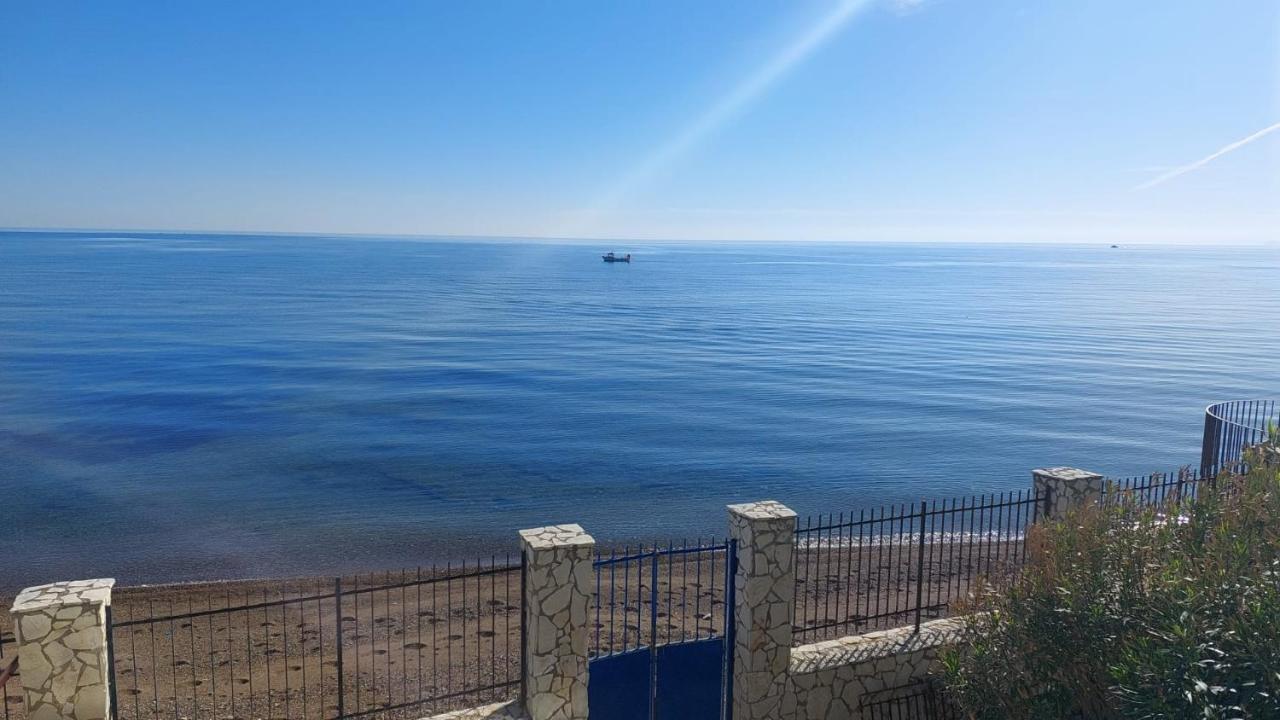 Blue Life, Sea-Luxury Rooms On The Beach Between Palermo And Cefalu' Casteldaccia Exteriér fotografie